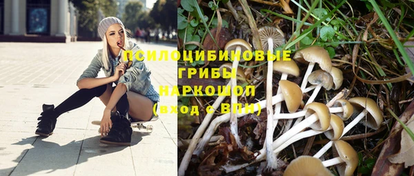 бошки Тутаев