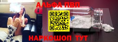 стаф Можга