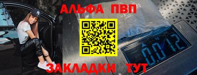 стаф Можга