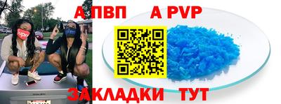 стаф Можга