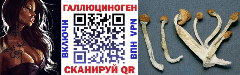 Псилоцибиновые грибы ЛСД  где продают наркотики  Холмск 