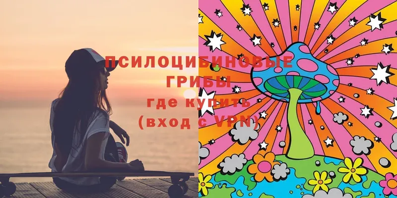 Псилоцибиновые грибы ЛСД  мега вход  Холмск 
