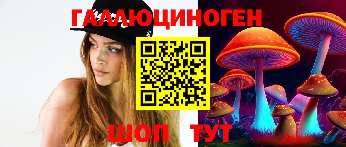 Холмск  Галлюциногенные грибы GOLDEN TEACHER  как найти   Вход с VPN 