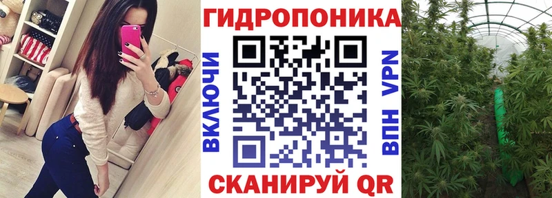 дарнет шоп  Холмск  Бошки марихуана тримм 